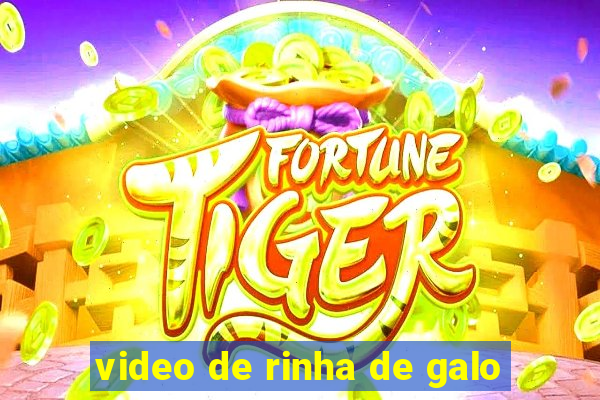 video de rinha de galo